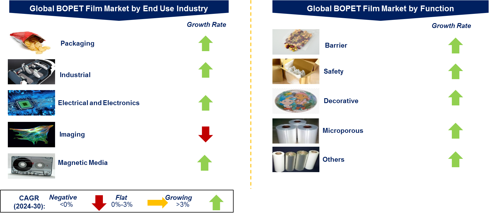 BOPET Market by Segment